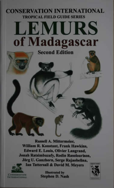 Lemurs of madagascar