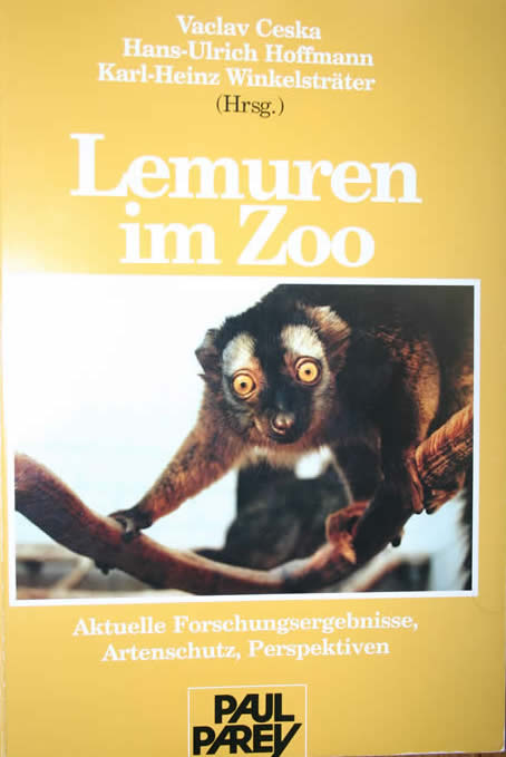 Lemuren im Zoo